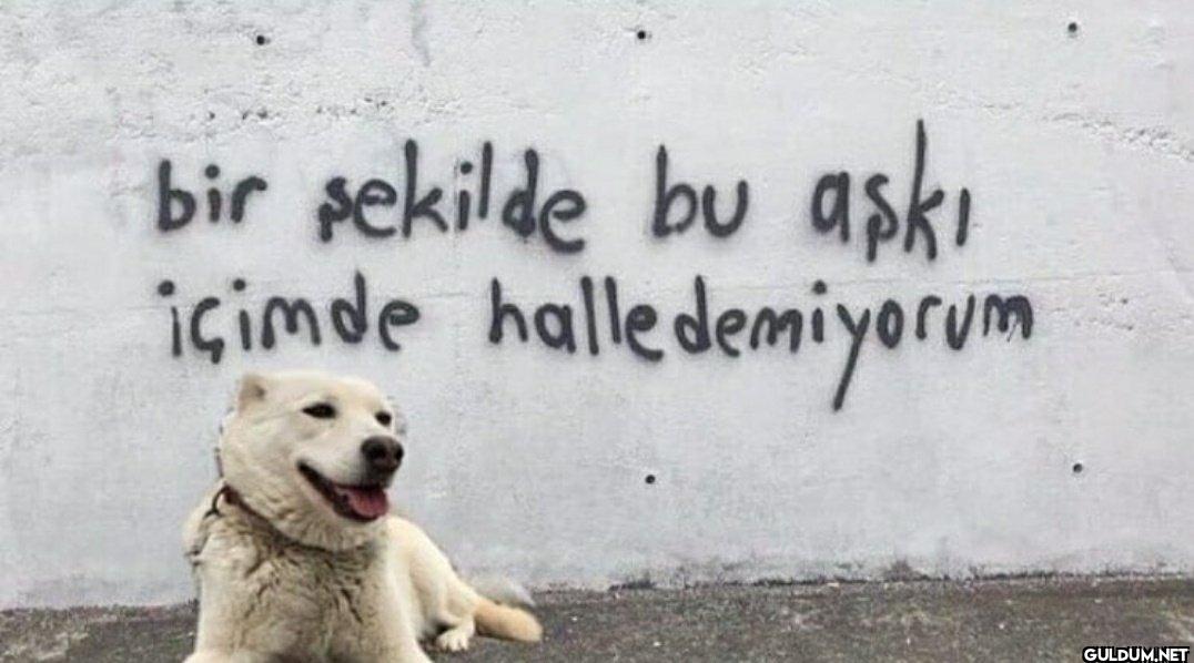 bir şekilde bu aşkı...