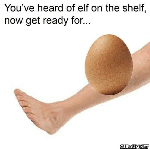 You've heard of elf on the...
