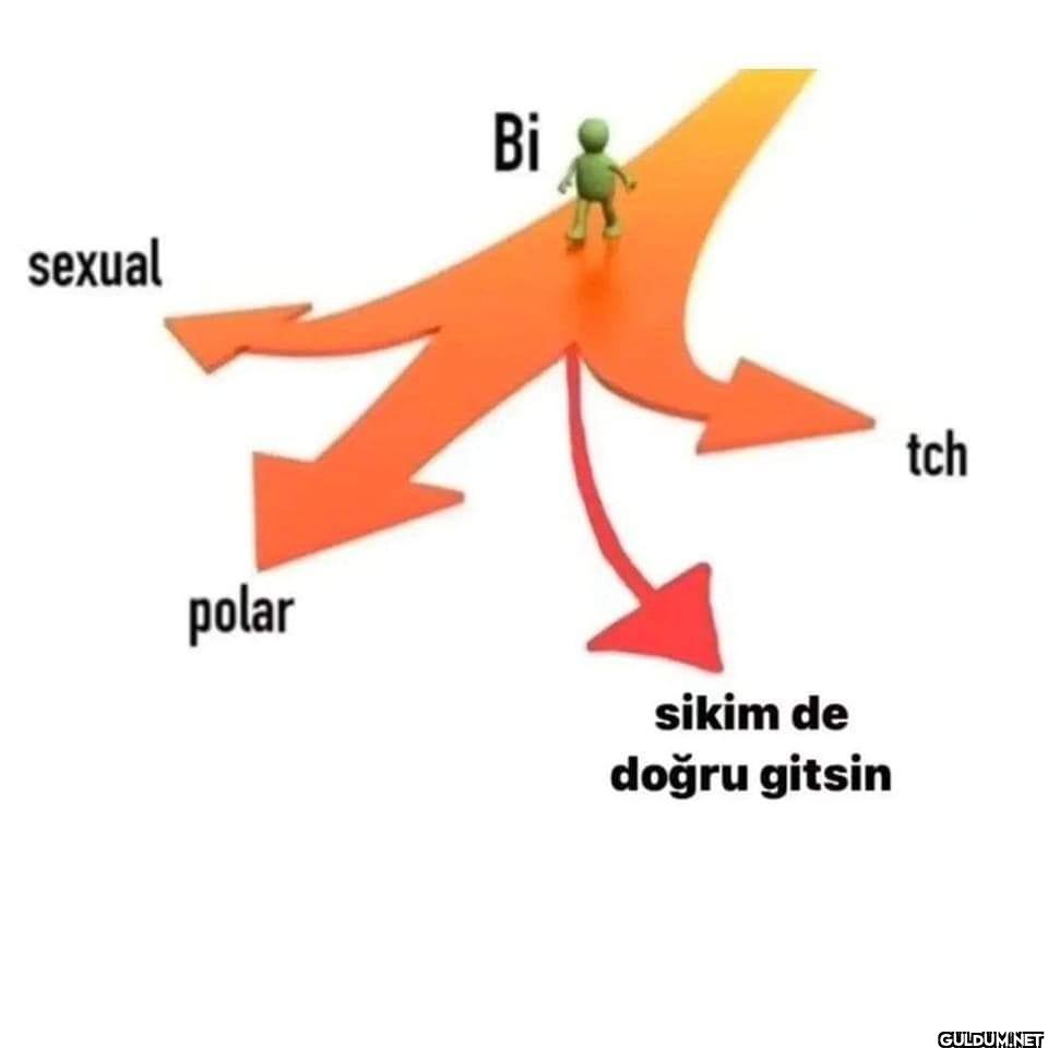 sexual Bi polar sikim de...