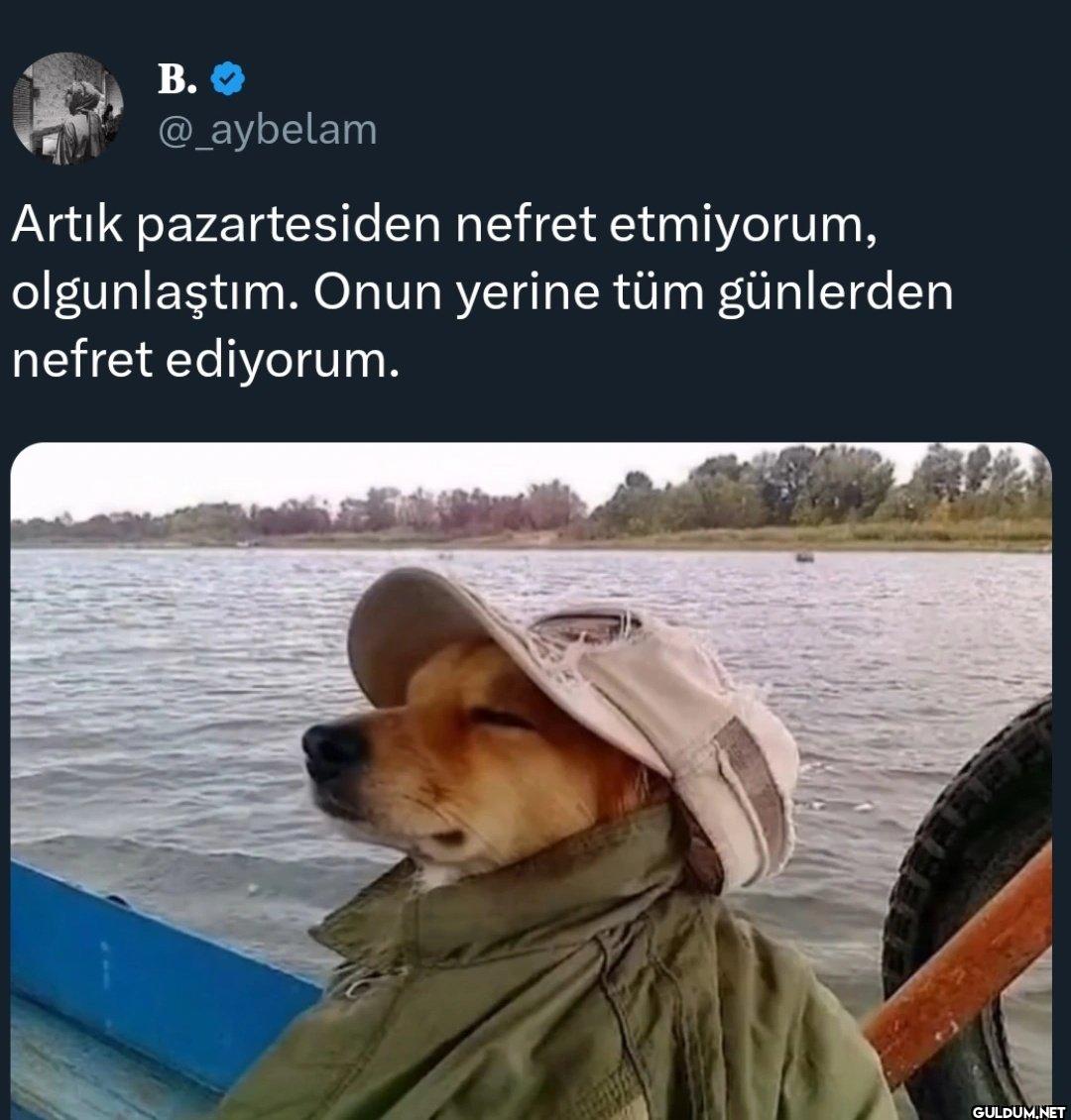 Artık pazartesiden nefret...