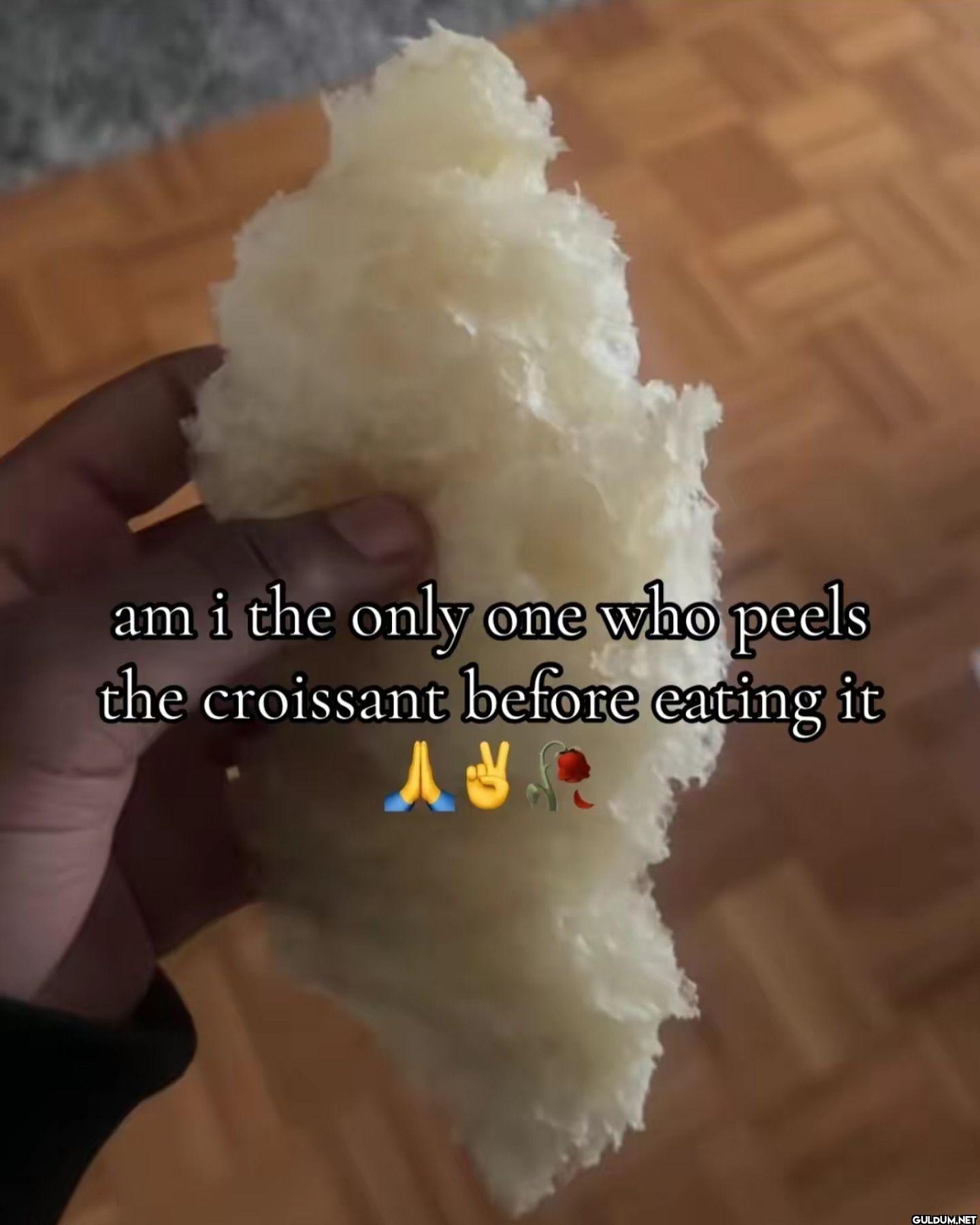 am i the only one who...