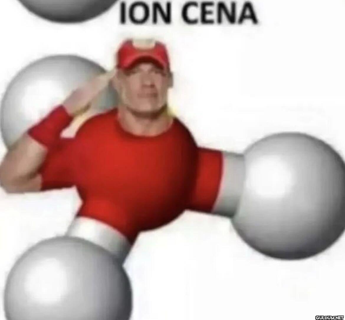ION CENA