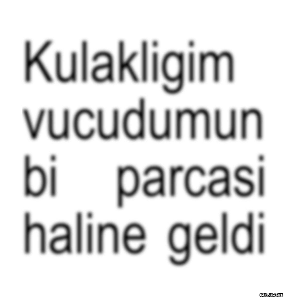 Kulakligim vucudumun bi...