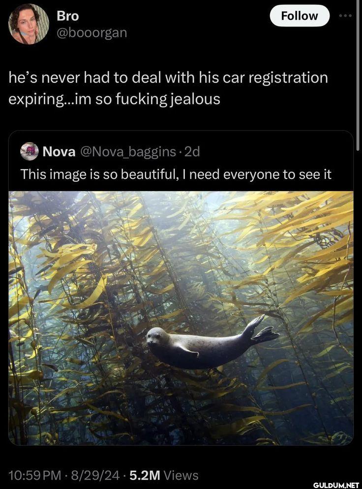 he s never had to deal...