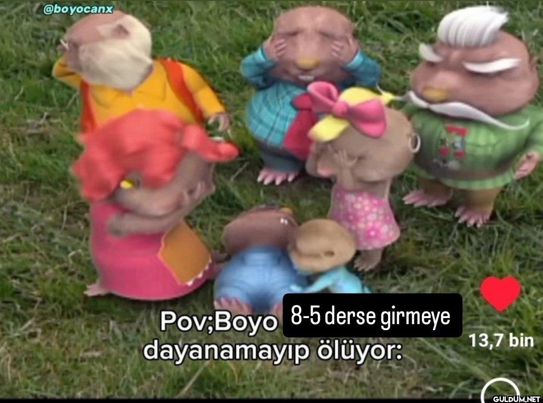 Pov;Boyo 8-5 derse girmeye...