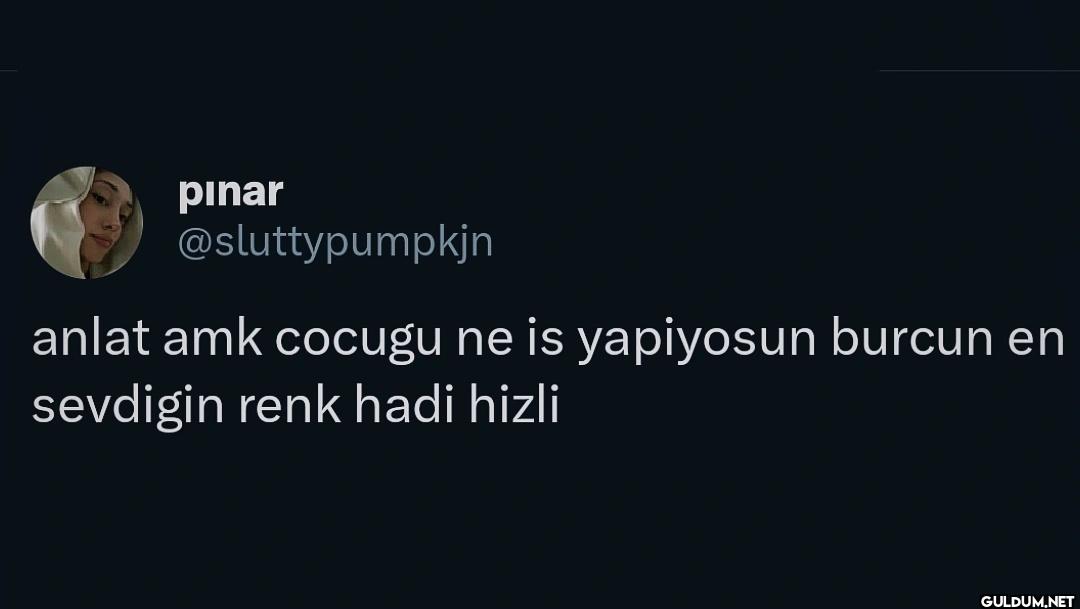 anlat amk cocugu ne is...