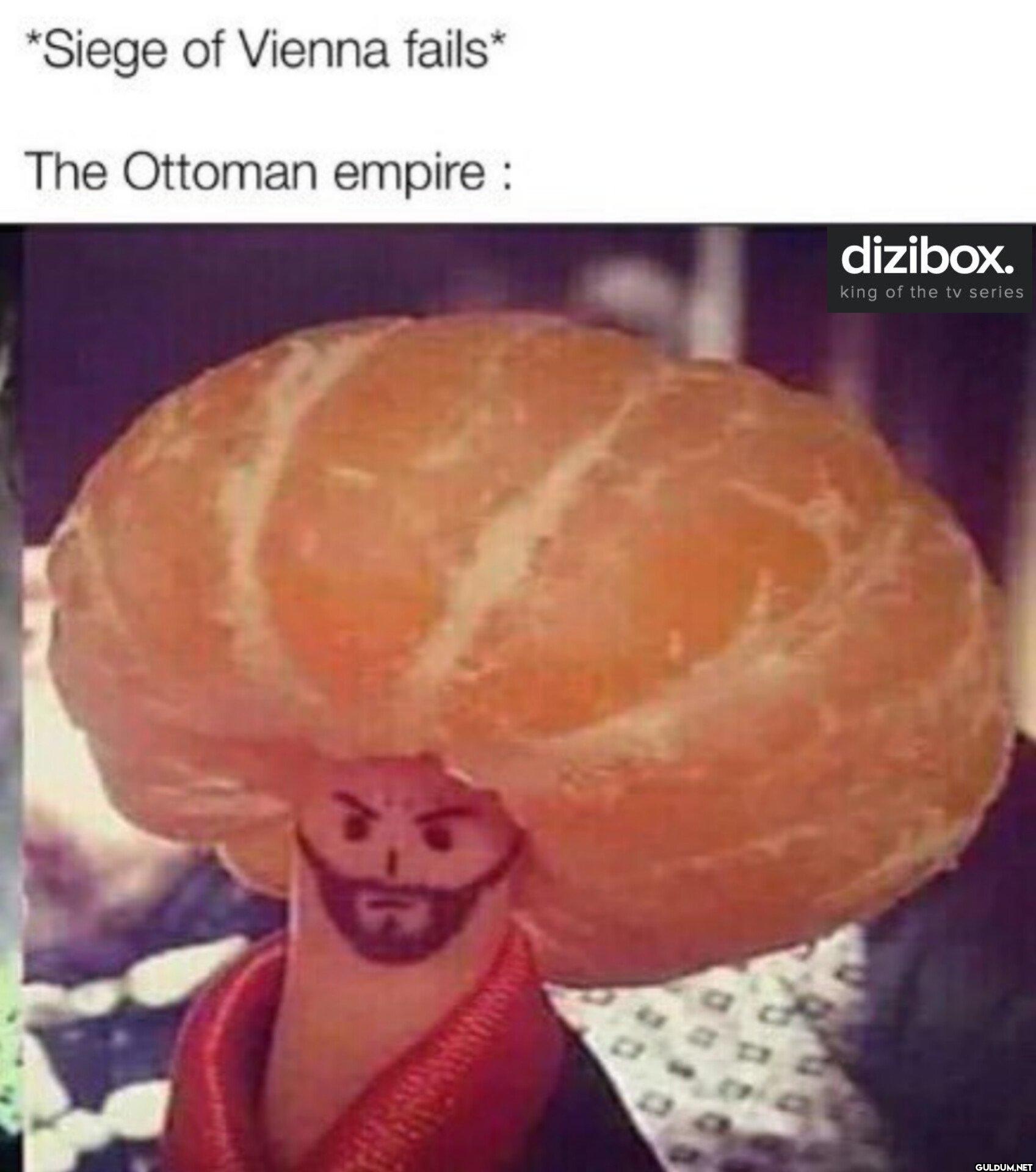 *Siege of Vienna fails*...
