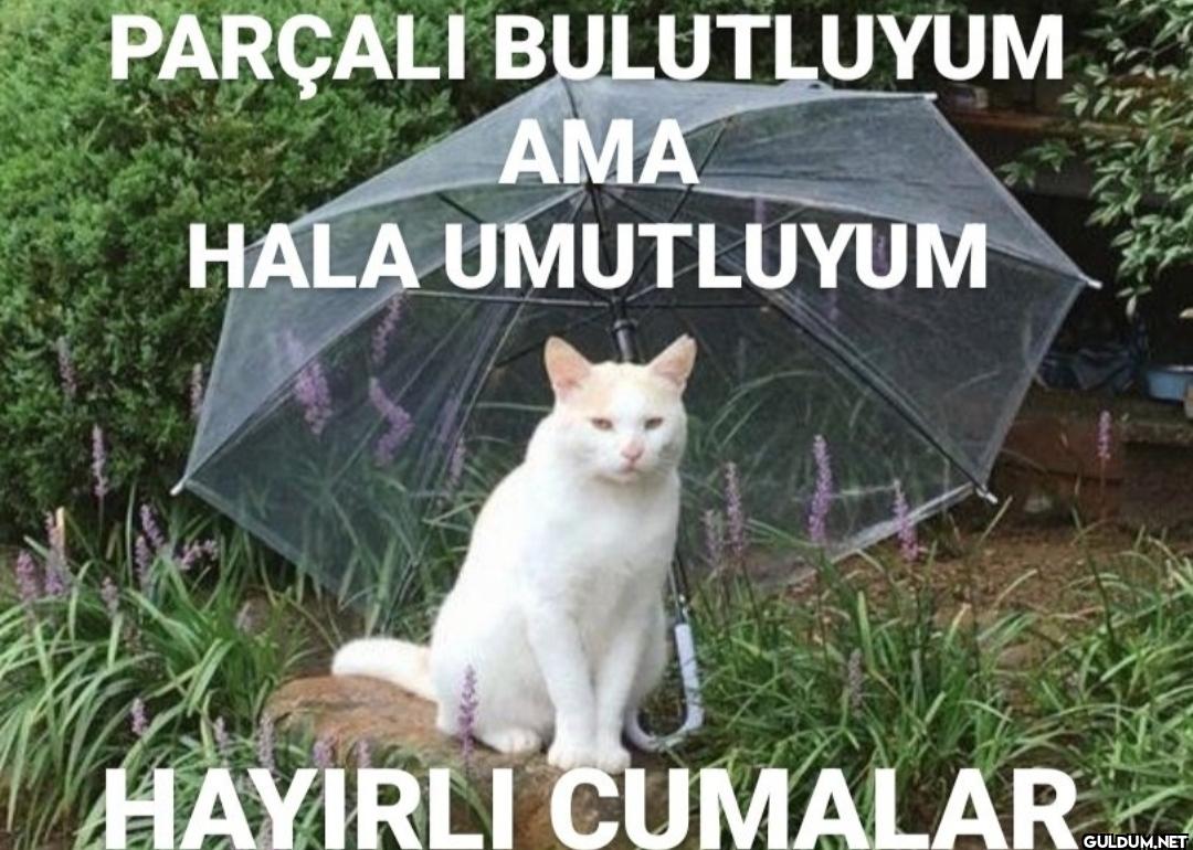 PARÇALI BULUTLUYUM AMA...