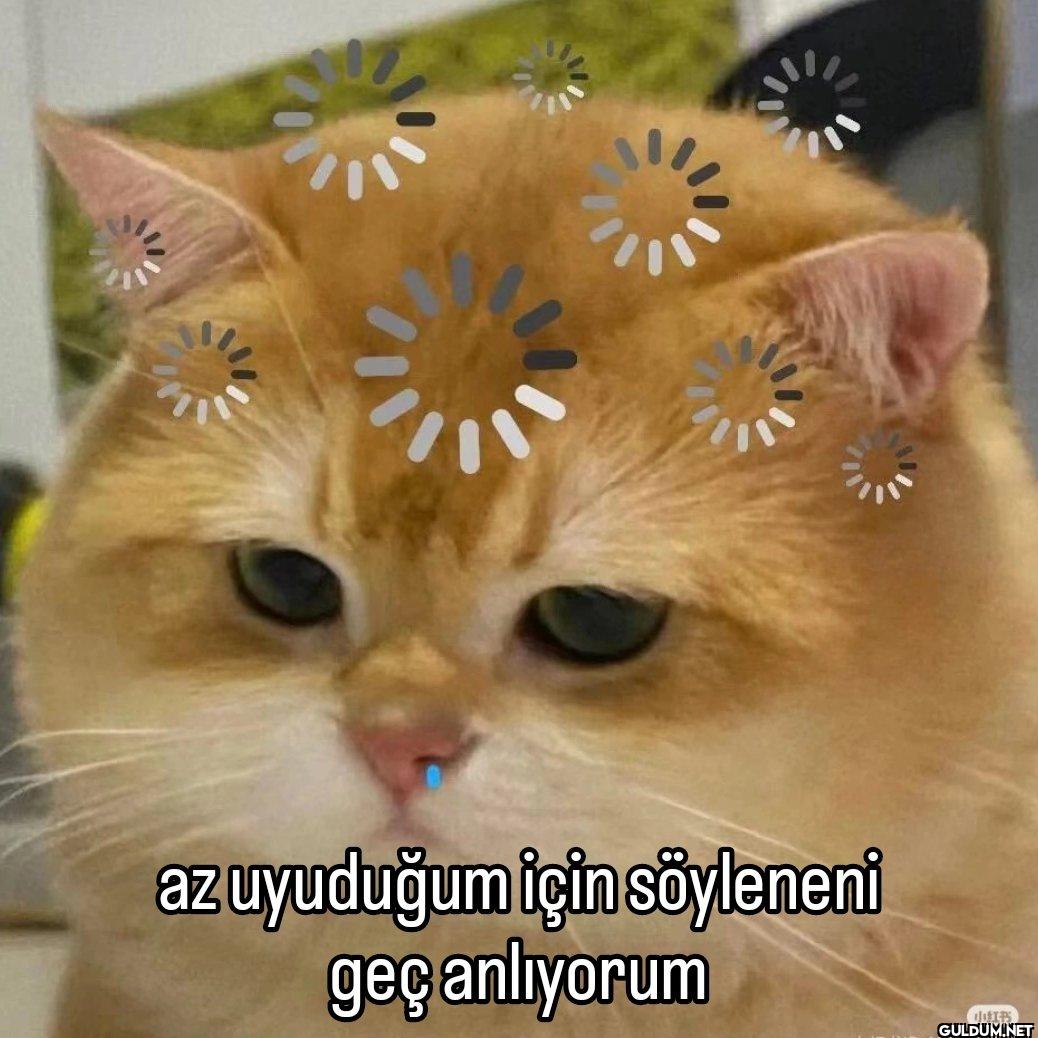 az uyuduğum için söyleneni...