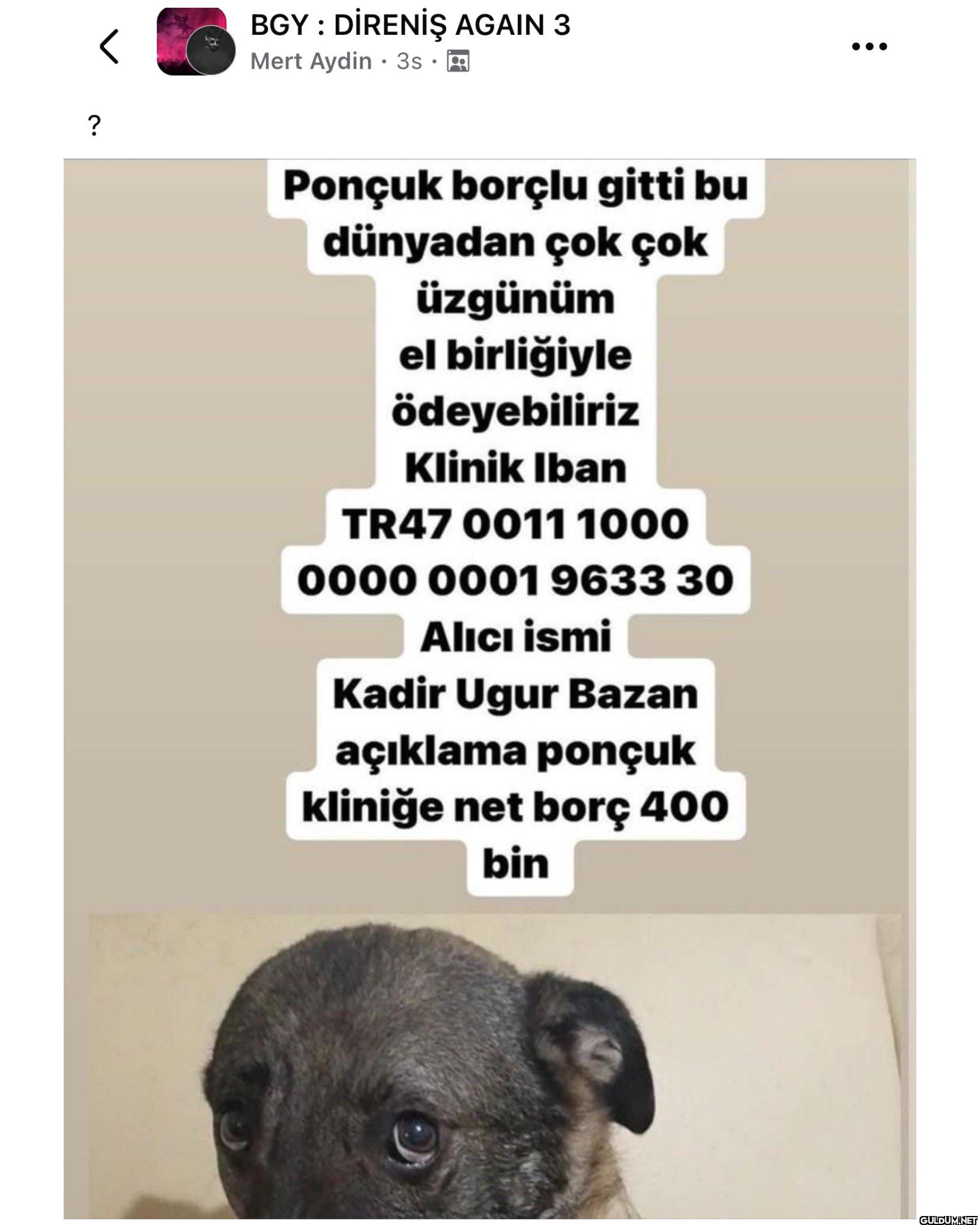 400 bine barınak kurarsın...