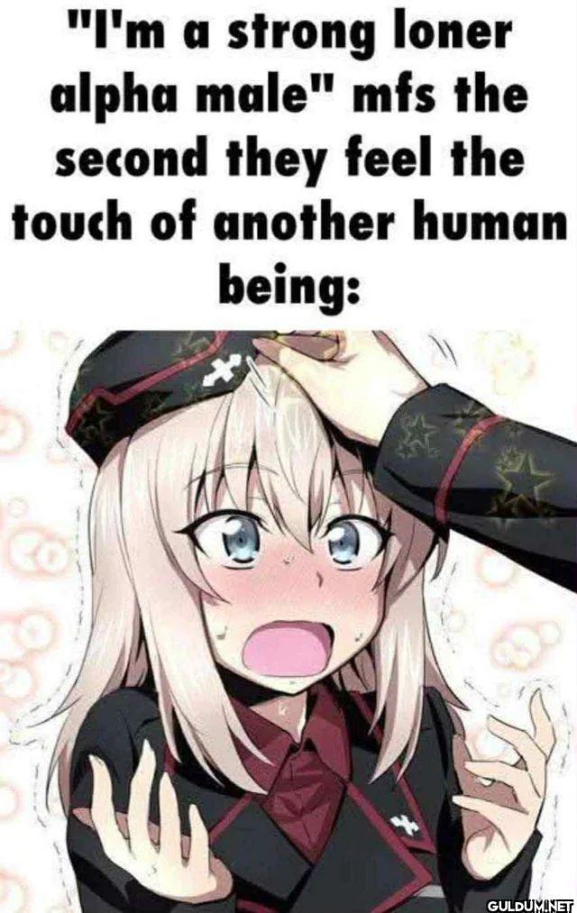 I'm a strong loner alpha...