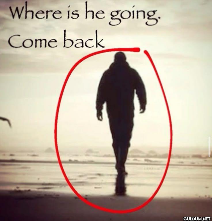 Where is he going. Come back
