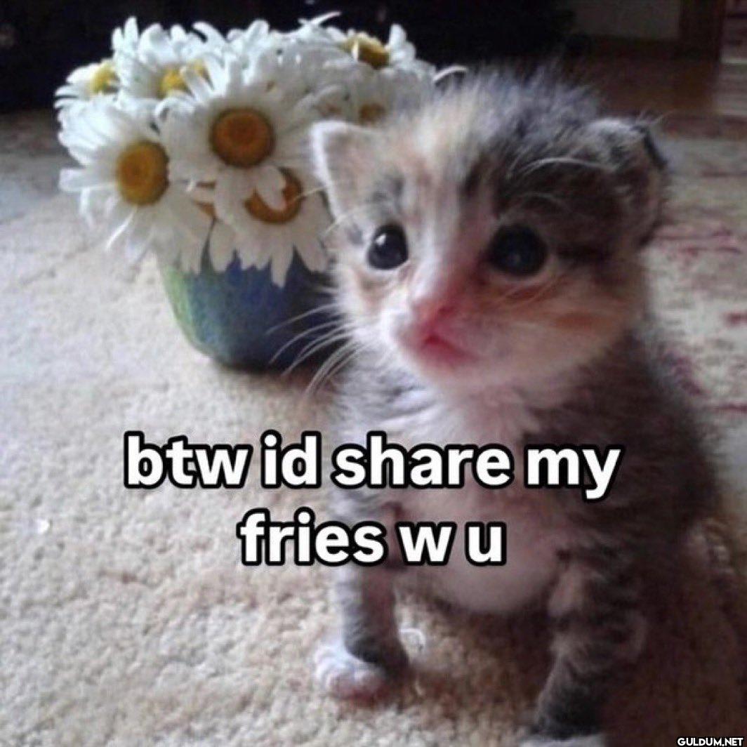 btw id share my fries w u