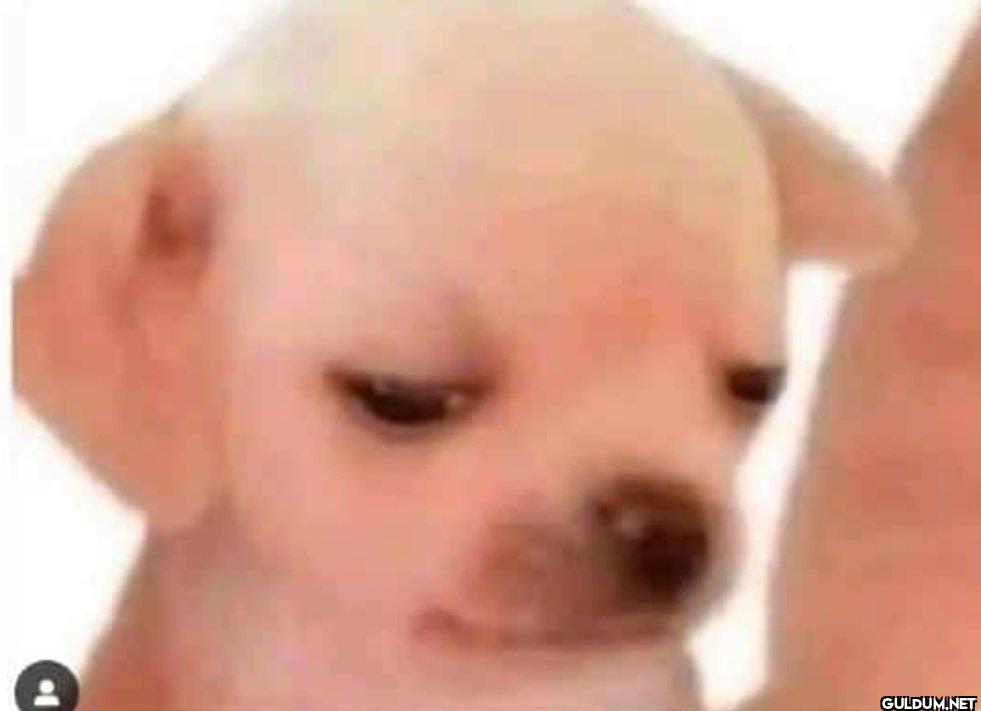 *my mom telling the doctor...