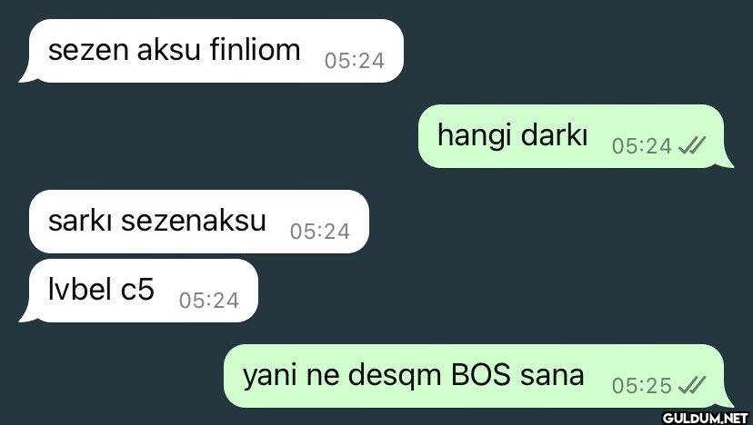 sezen aksu finliom 05:24...