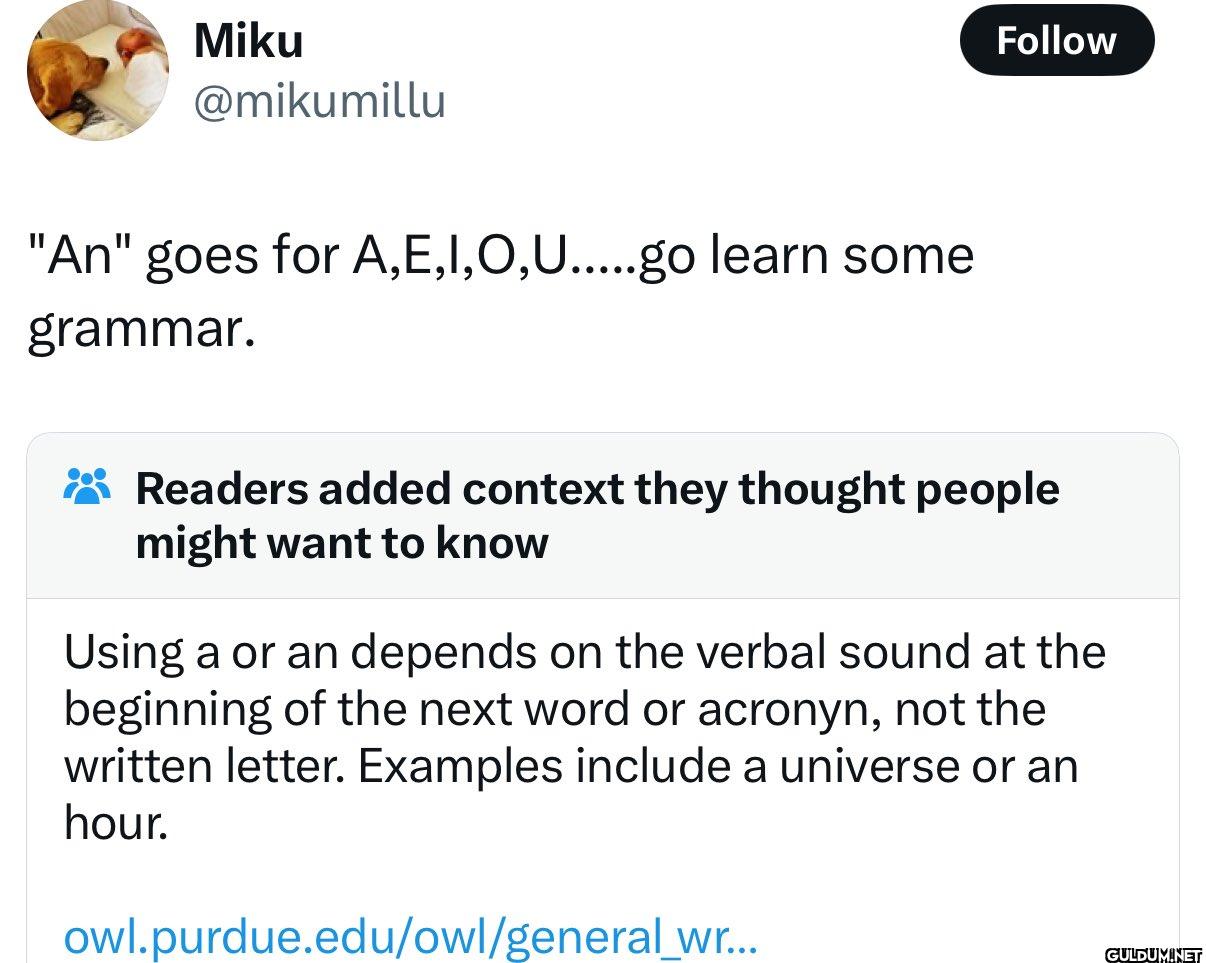 "An" goes for A, E,...