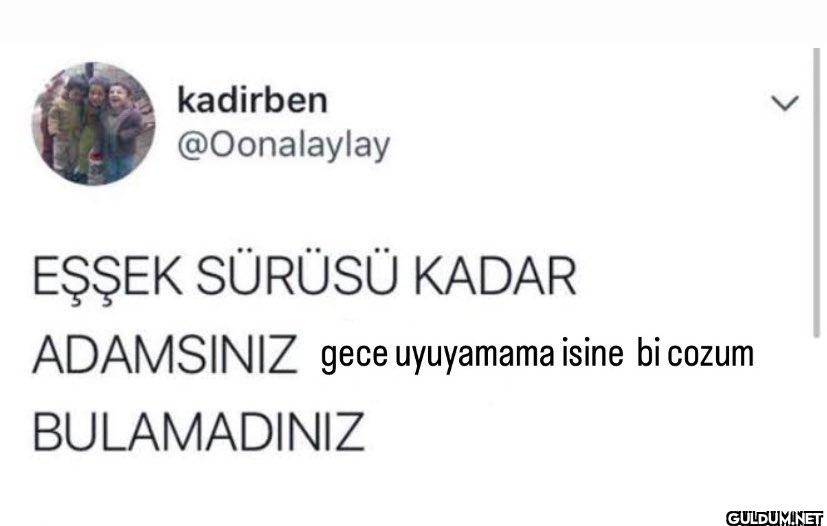 EŞŞEK SÜRÜSÜ KADAR...