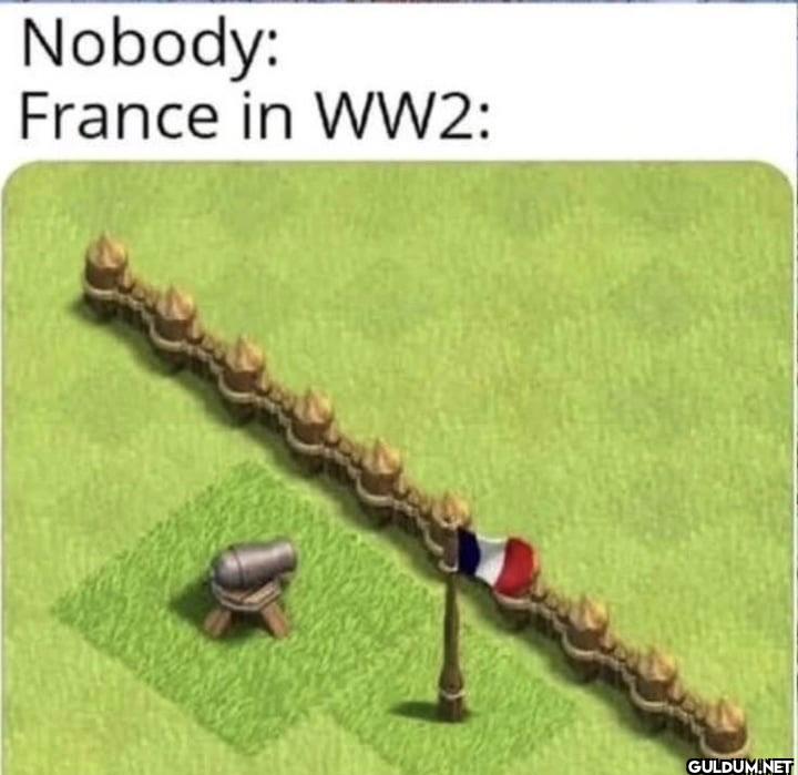 Nobody: France in WW2: