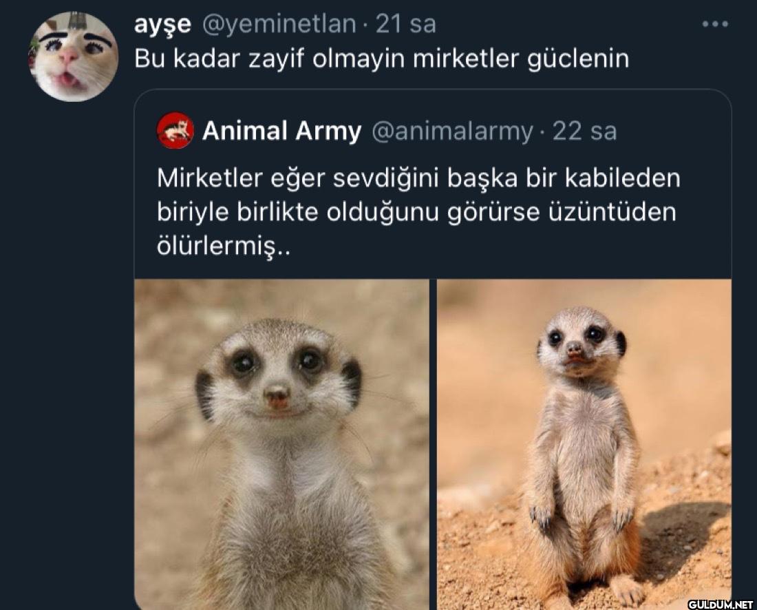 - 21 sa Bu kadar zayif...