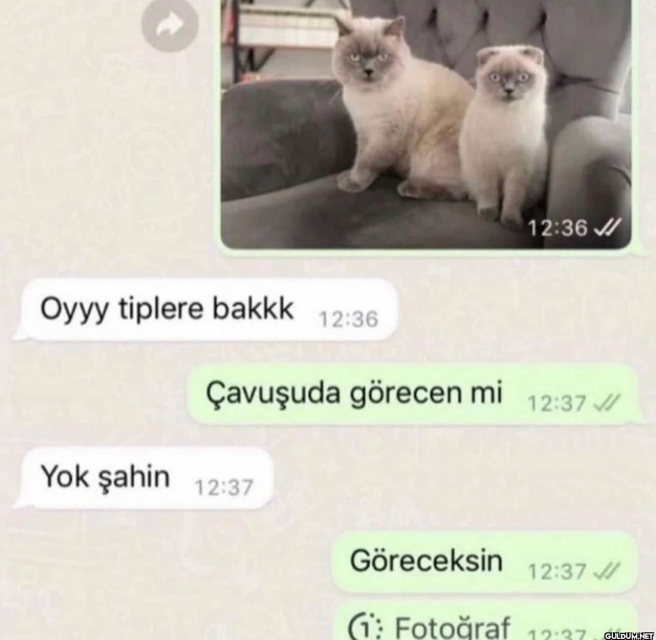 Oyyy tiplere bakkk 12:36...
