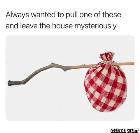 Always wanted to pull one...
