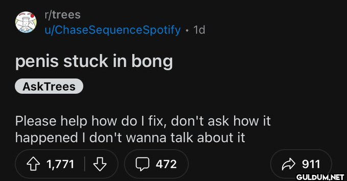 r/trees u/ChaseSequence...