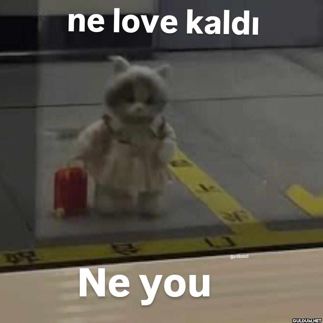 ne love kaldı Ne you Ganlikmod