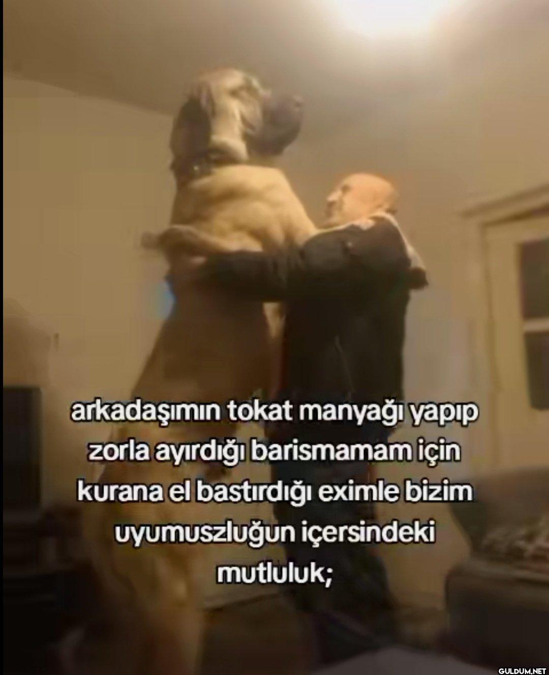 arkadaşımın tokat manyağı...