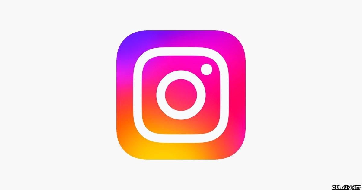 Bir hükümet İnstagram'ı...