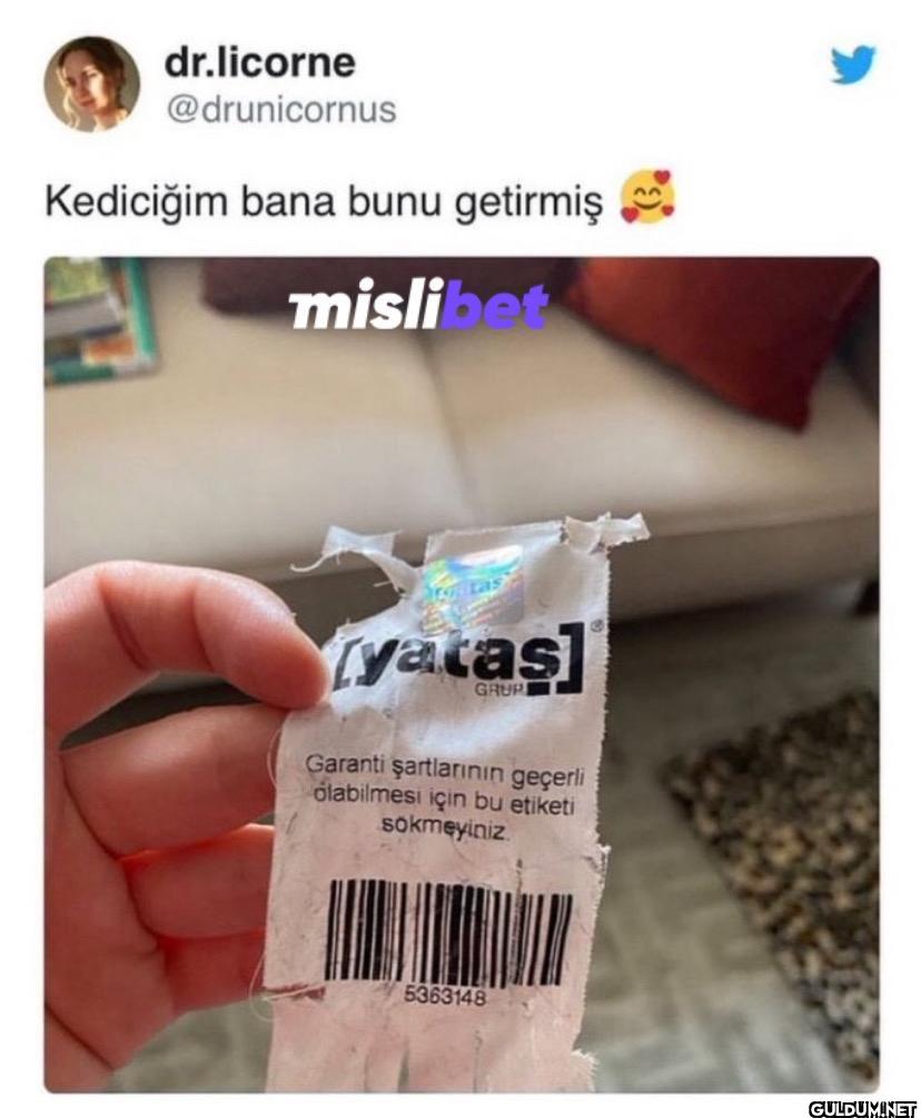 Kediciğim bana bunu...