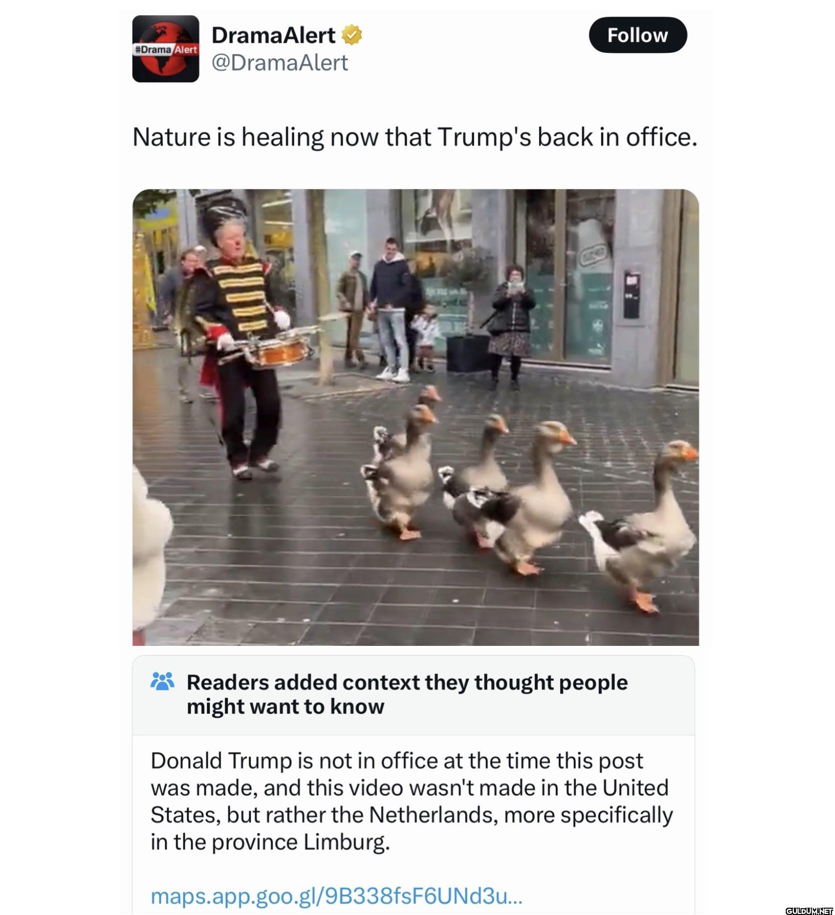 The ducks are happy   ...