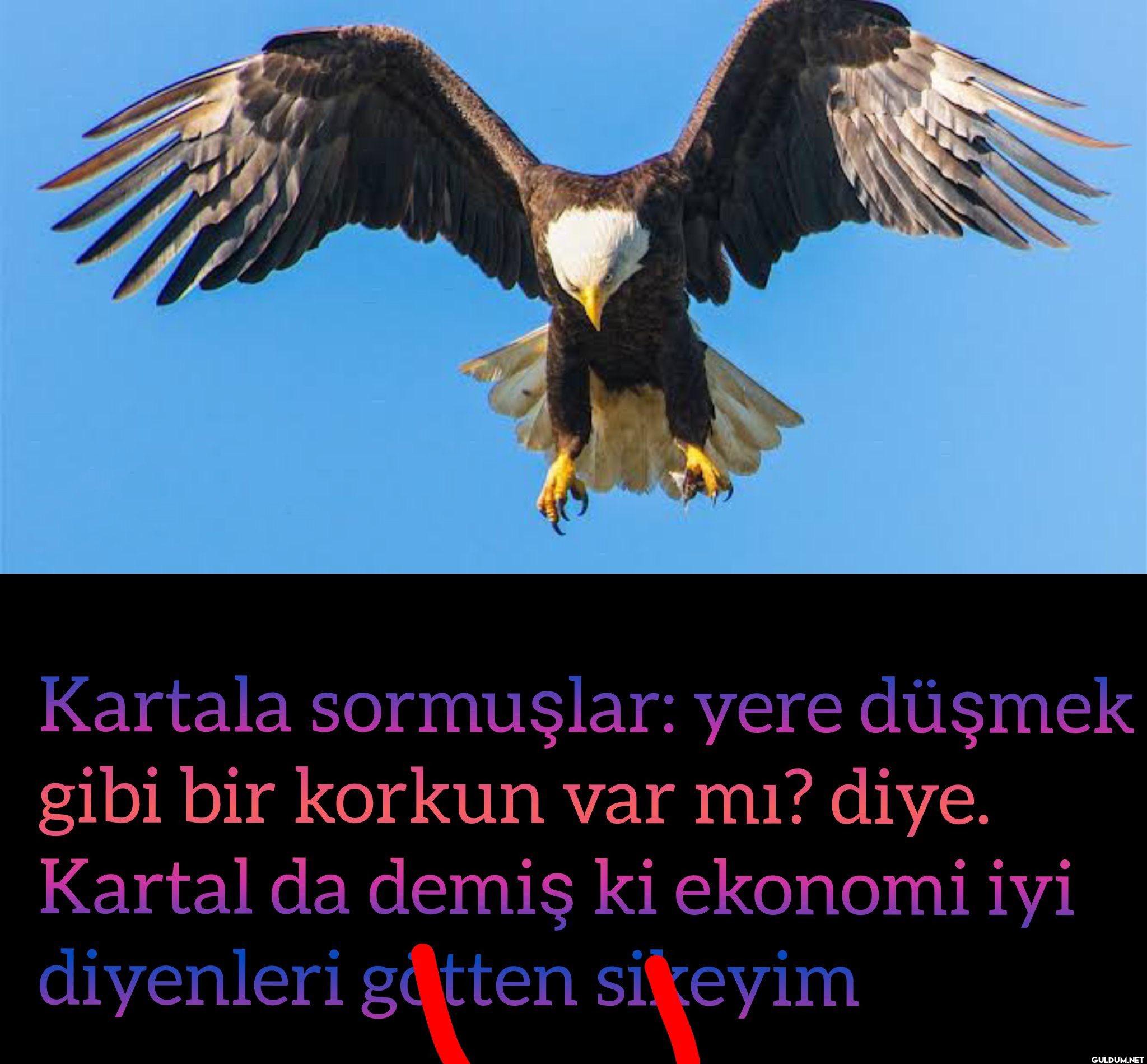 Kartala sormuşlar: yere...