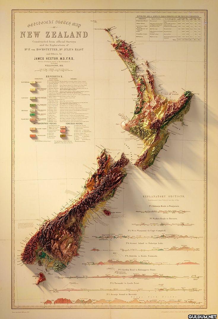 New Zealand 🇳🇿   ...