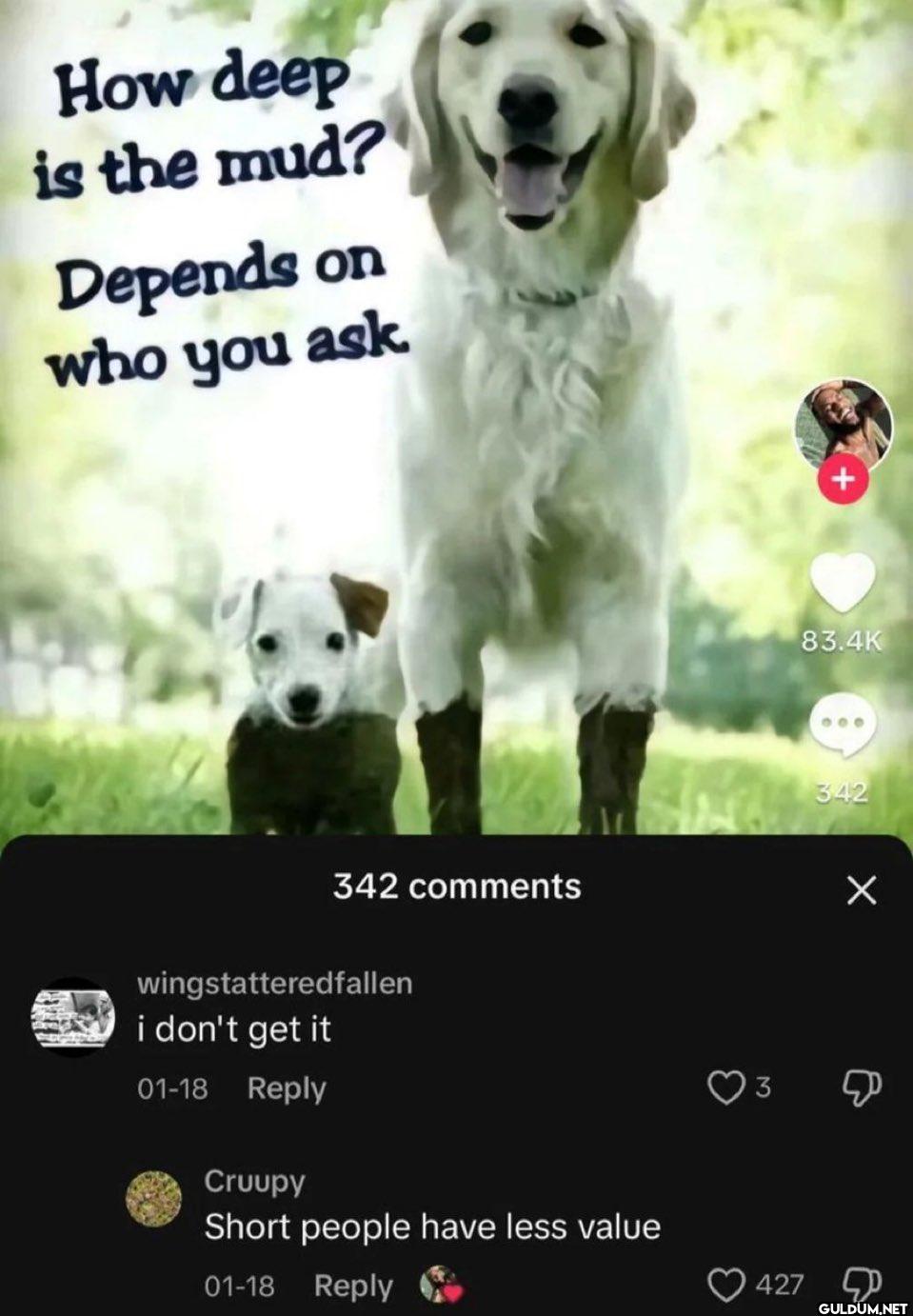 Popular post