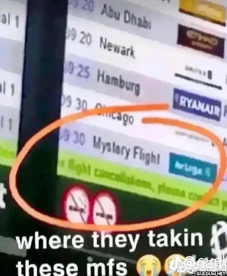 Abu Dhabi Newark Hamburg...