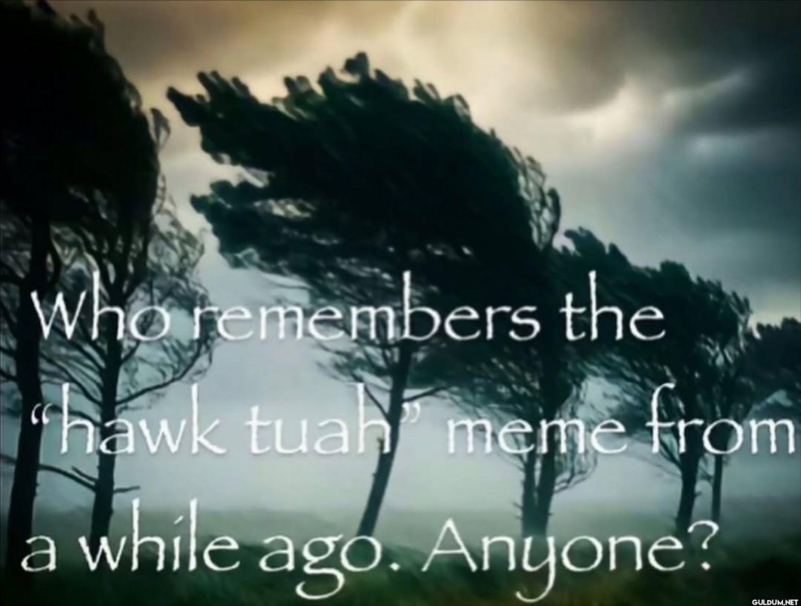 Who remembers the hawk...