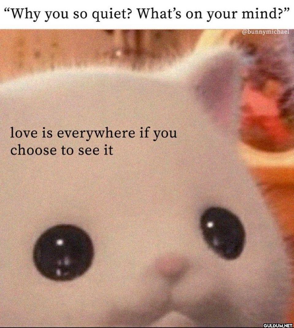 Why you so quiet? What s...