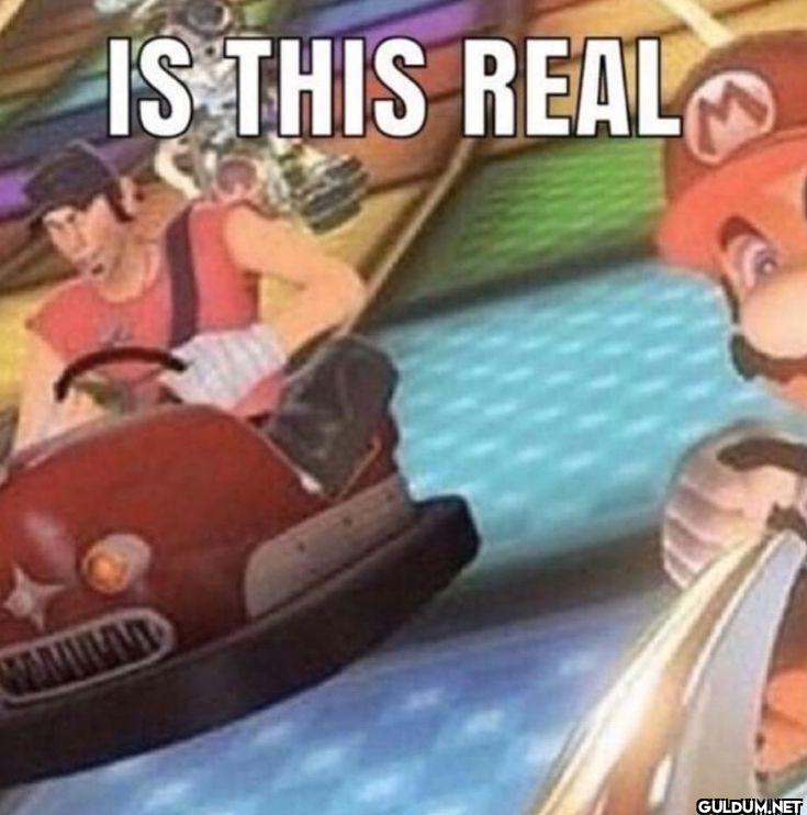 IS THIS REAL