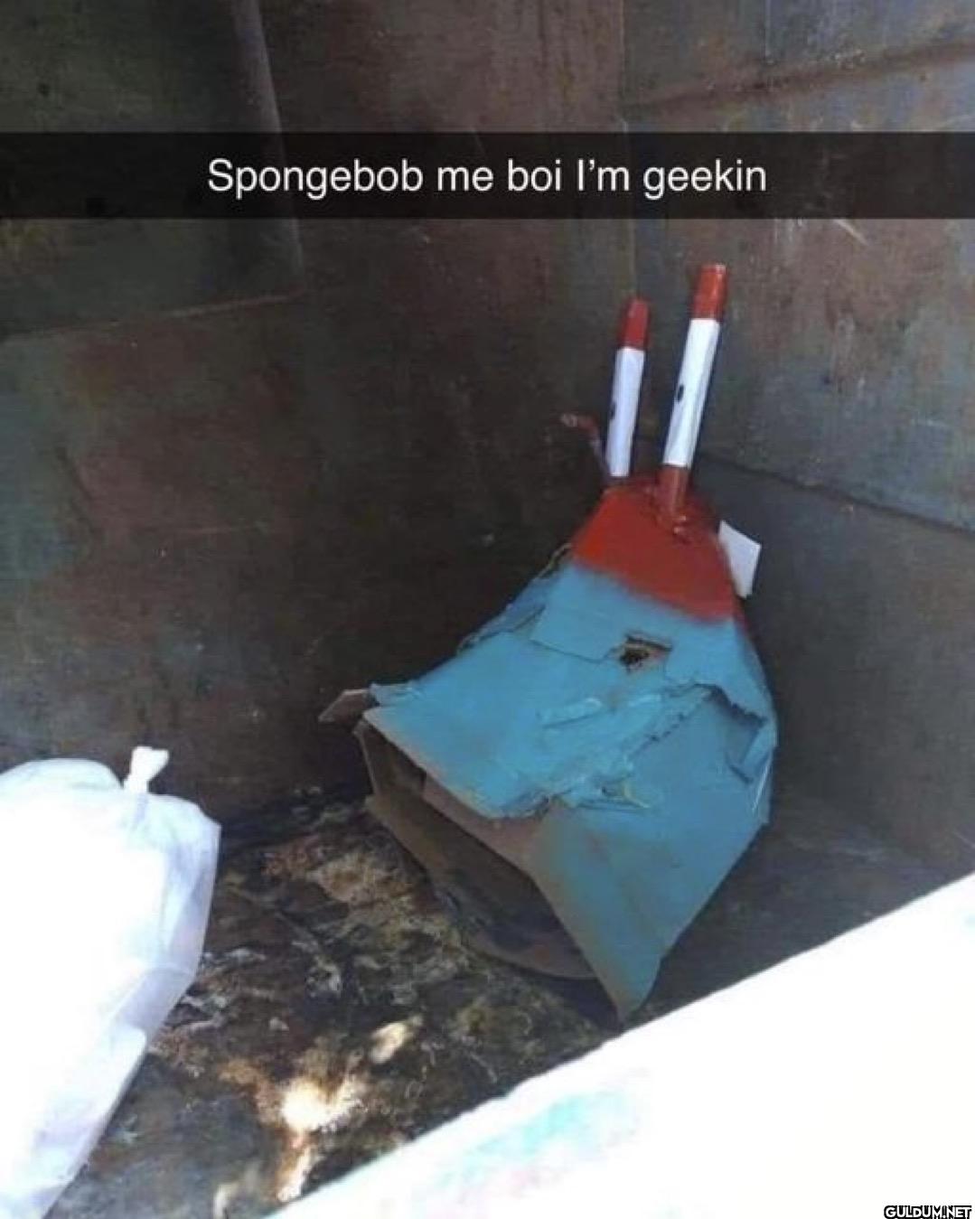 Spongebob me boi I'm geekin