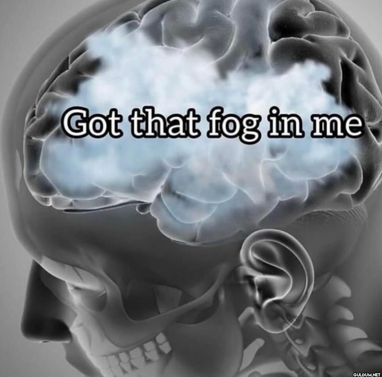Got that fog in me