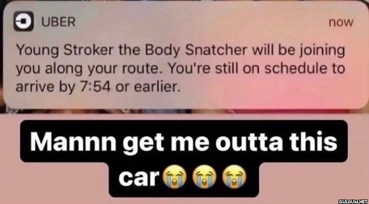 UBER now Young Stroker the...