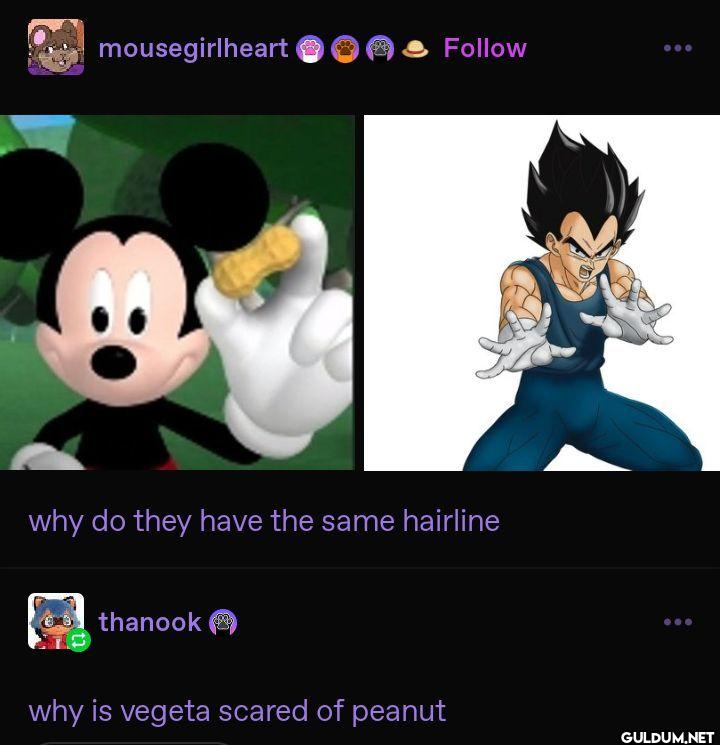 mousegirlheart why do they...