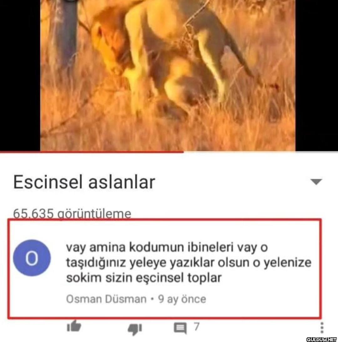 hahahahdhxjsjdjfj   ...