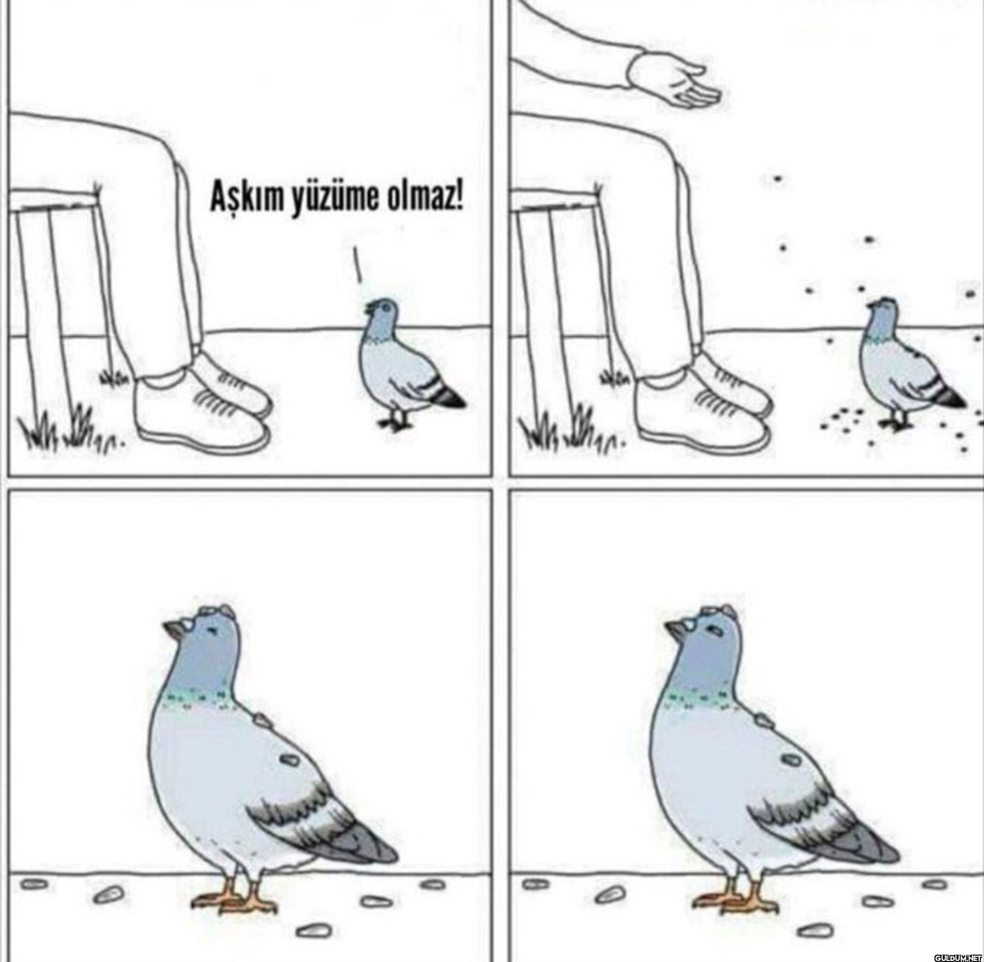 0 Aşkım yüzüme olmaz! 1 10