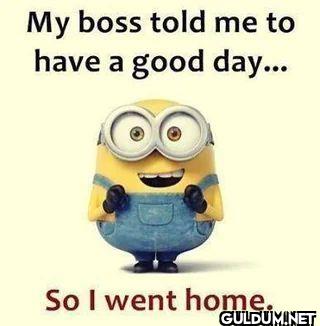 My boss told me to have a...