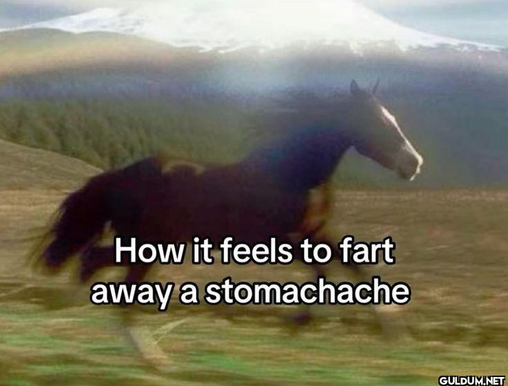 How it feels to fart away...