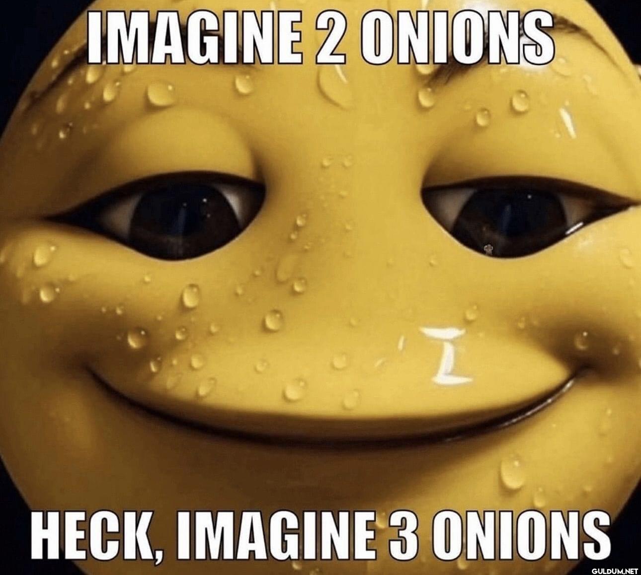 IMAGINE 2 ONIONS HECK....