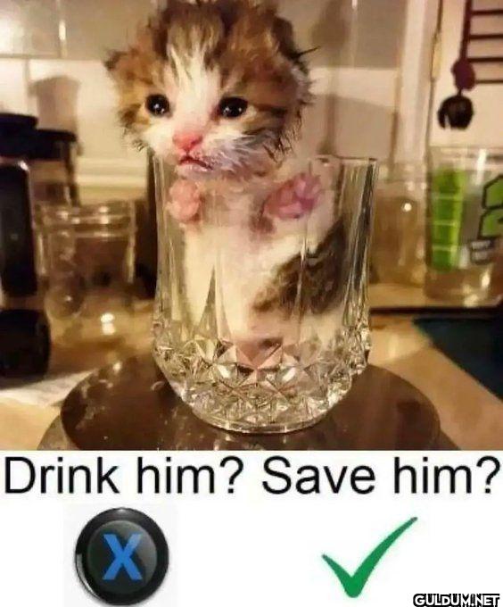 Drink him? him?