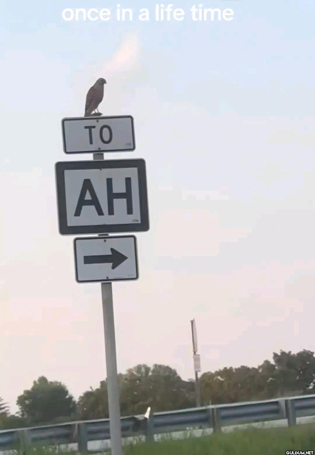 once in a life time TO AH