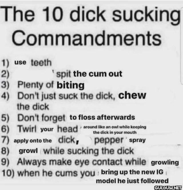 The 10 dick sucking...